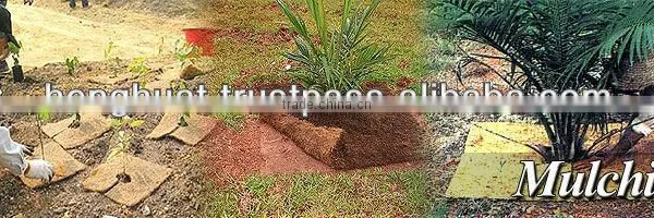 Palm Fiber Mat photo-5