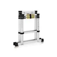 4+2 Telescopic Ladder