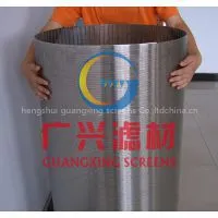 Wedge Wire Drums for Rotating De-watering Filters photo-3