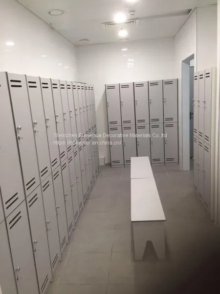 Fumeihua Waterproof Customize Swimming Pool Locker photo-3
