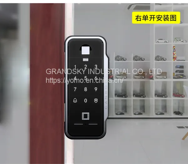 F5/F6-Fingerprint and Code Lock for Frameless Glass Door photo-3
