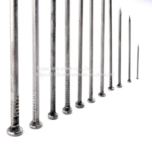 Iron Nails Construction Common Nail photo-3
