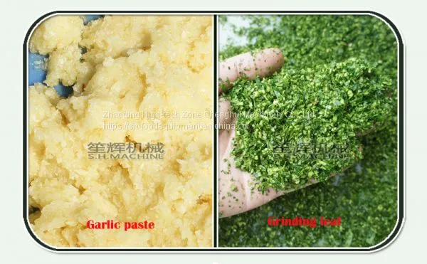 Electric Garlic Ginger Crusher Fruit and Vegetable Chopping Machine photo-5