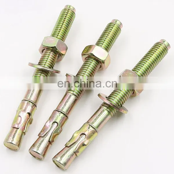 Stainless Steel Anchor Wedge Anchor Bolt and Expansion Anchor Bolt M12 photo-4