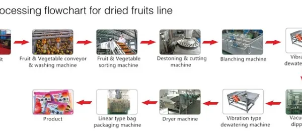 Dehydrated Fruit Vegetable Dehydrated Root &foliage Vegetable Processing Line photo-3