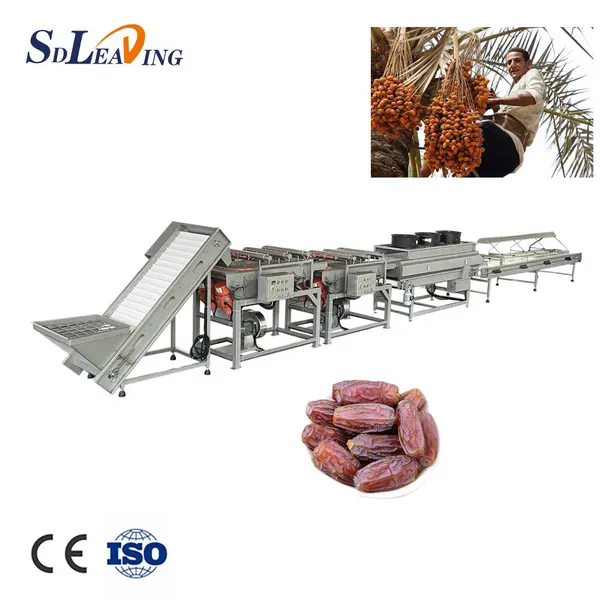 Turnkey Project Industrial Palm Dates Processing Machine Full Automatic Dates Washing Grading Pitting Packing Production Line photo-1