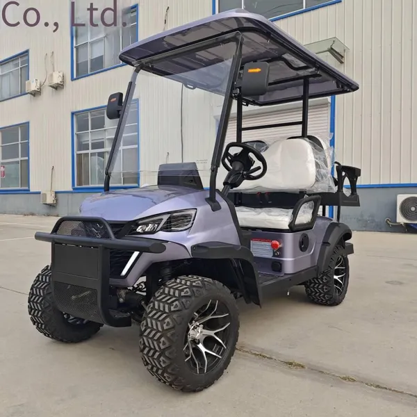 Latest Private - Customized Electric Golf Carts, Sourced From the Original Manufacturer for Export and Foreign Trade photo-5