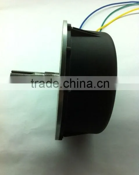 48v 1200w 3000rpm Pump Motor photo-3