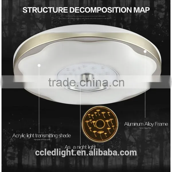 2016 New Design Ceiling Mount Led Light 30W per Color Small for Bedroom or Reading Room photo-3