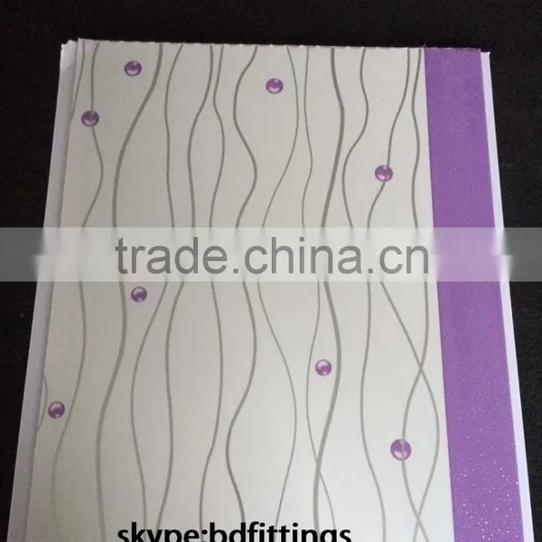 Clear Plastic Panel photo-2