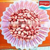 Bulk Peanut Kernels