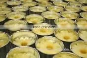 Cayenne Slices Pineapples in Light Syrup- 580ml Tins photo-2