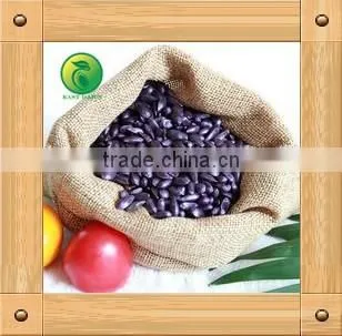 Sunflower Seeds for Birds Small Seed High Oil Content photo-2