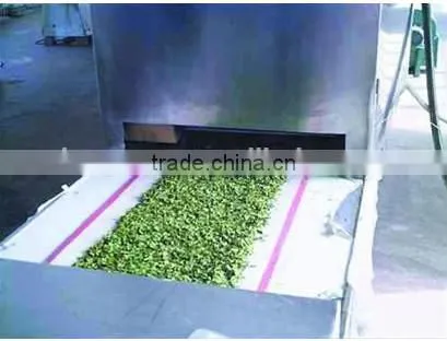Chinese Industrial Herb Leaves Microwave Dehydration Machine photo-6