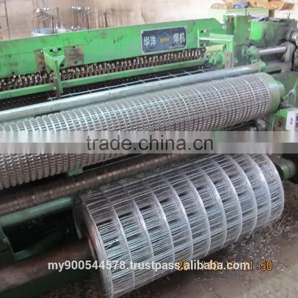 Galvanised Weld Mesh/ Welded Wire Mesh Fabric/ Welded Mesh