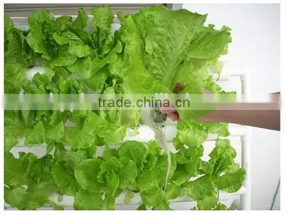 Home Garden Indoor Hydroponics System photo-4