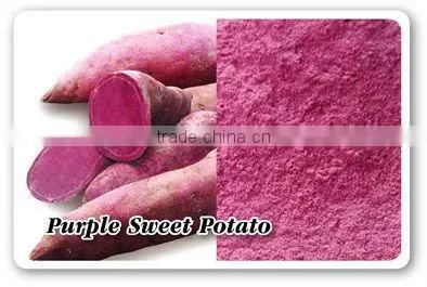 Purple Sweet Potato Powder, Pre-gelatinized, Drum Dried