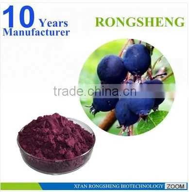 Hot Sale Freeze Dried Powder Organic Acai Berry photo-3