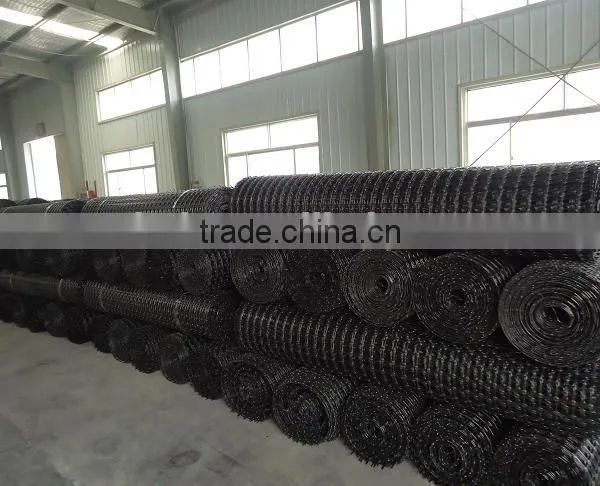 Biaxial Geogrid TGSG20/20,30/30,40/40 photo-3