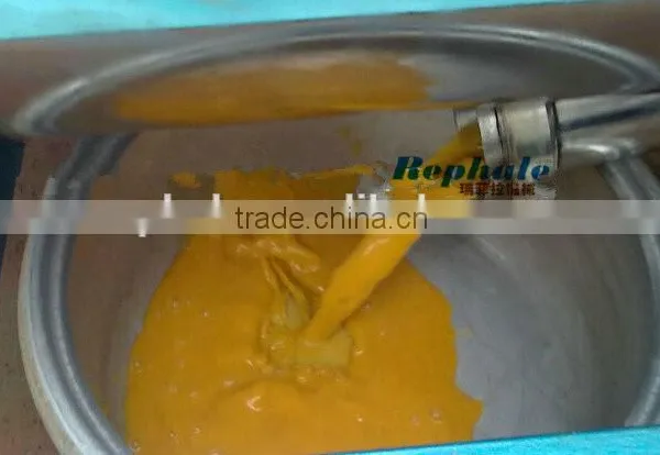 Stainless Steel Mango Pulper and Beater Machine photo-6