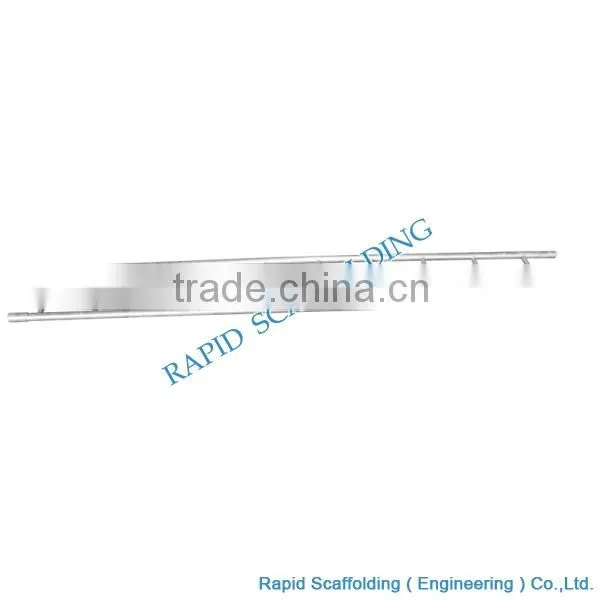 Folding Ladder