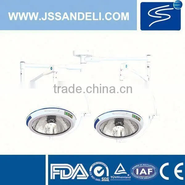 FDA Large Pendant Lamps