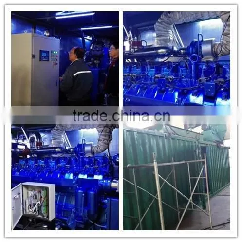 Gas Cogeneration Unit photo-6