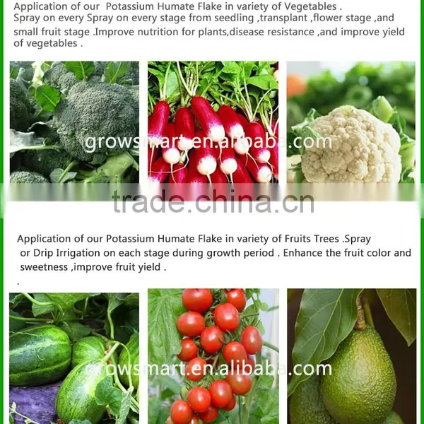Economic Fertilizer Potassium Humate (ha-k) Organic Fertilizer photo-4