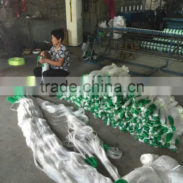 High Quality HDPE Knitted Plant Support Climbing Net/trellis/plant Climbing Net for Pea and Cucumber Climbing photo-4