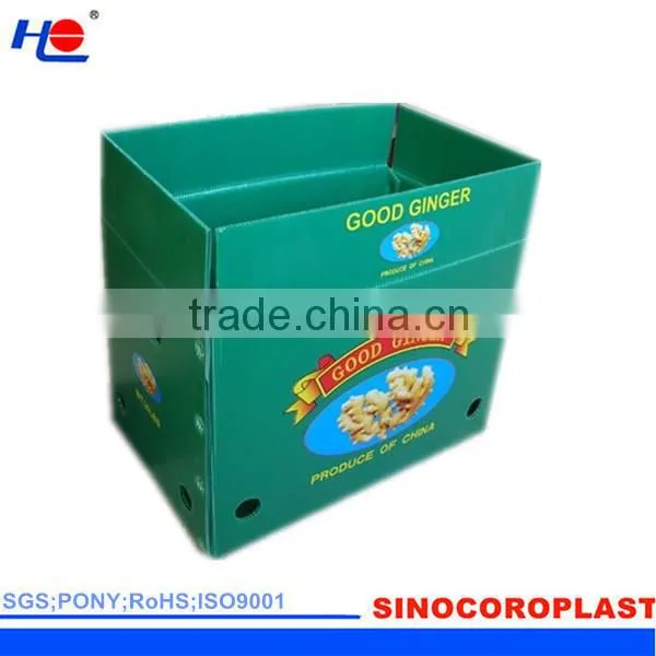 Plastic Coroplast Box photo-4