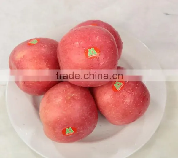 Fresh Fuji Apple photo-4