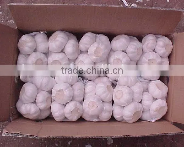 YUYUAN Brand Hot Sail Fresh Garlic Dehydrated Garlic Price photo-5