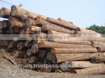 Solid Wood Timber Keruing Wood Timber Keruing Flooring Timber