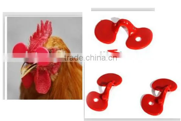 Chicken Glasses/protective Glasses