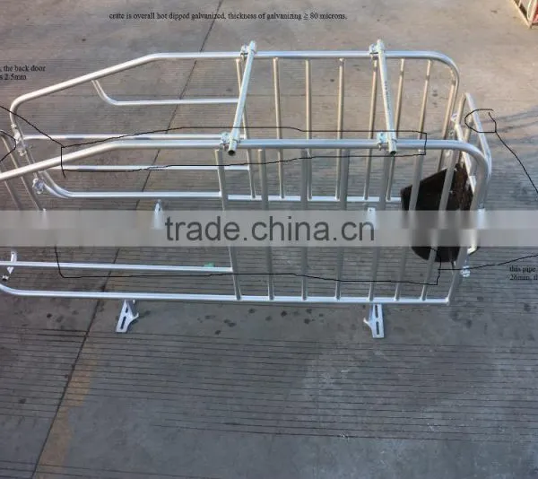 Pig Breeding Equipment Sow Gestation Cage