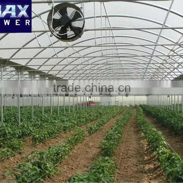 Fan for Green House