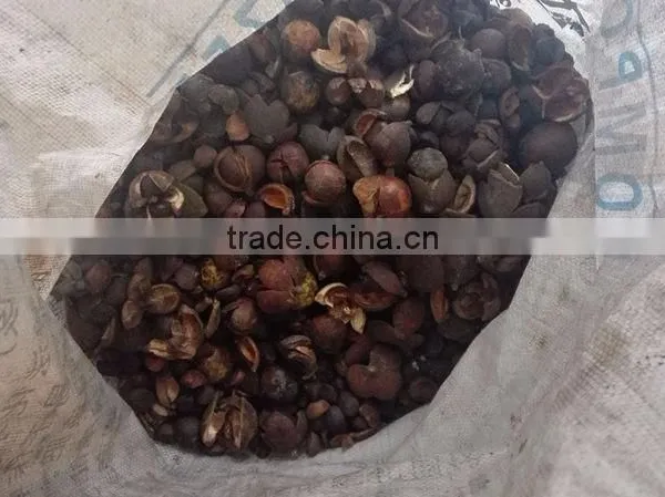 Wide Application Sunflower Seed Camellia Seeds Sheller in Stock photo-3