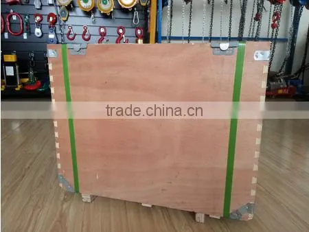 Manufacturing 220v 500kg Electric Winch With Movable Trolley photo-6