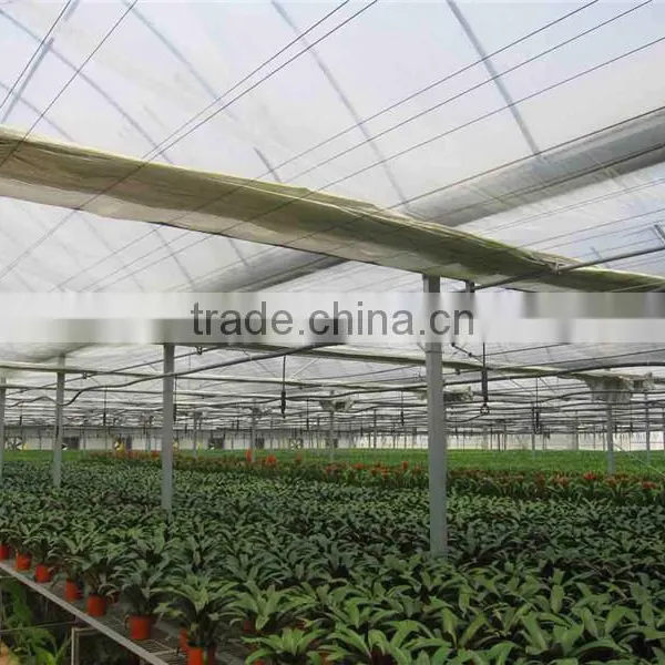 Hot Galvanized Steel Structure Greenhouse photo-3