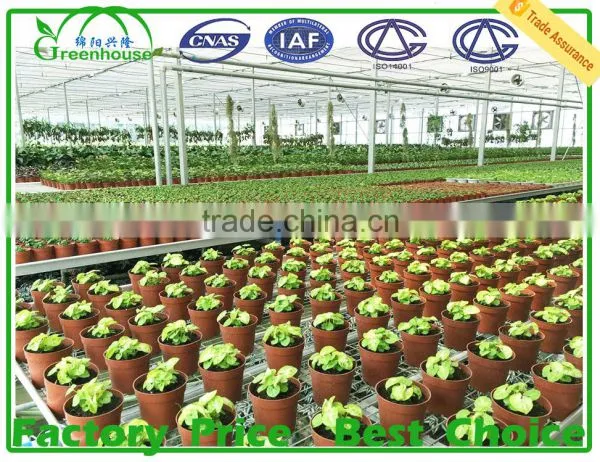 Commercial Hydroponics Greenhouse Cost for Sale photo-6