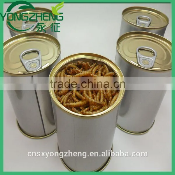 Mealworm Treats With Long-term Technical Support photo-3