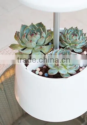 Plant Growth Light photo-5