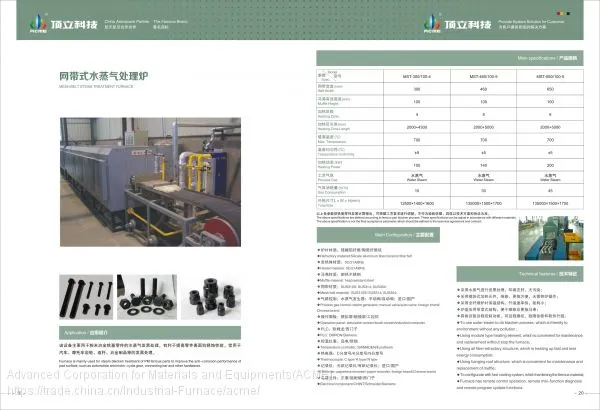 Mesh Belt Steam Treatment Furnace photo-2
