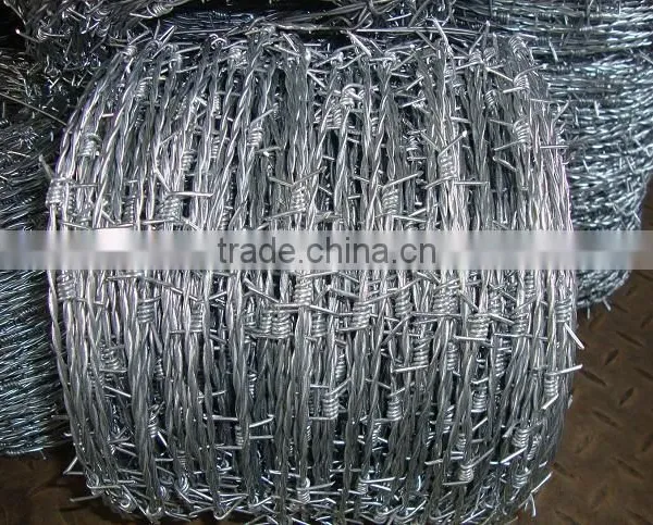 China Supplier Galvanized Stainless Steel Barbed Wire photo-4