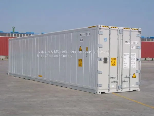 Meat Handing Reefer Container