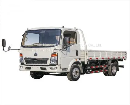 SINOTRUK HOWO 3 Ton Light Cargo Truck Low Price 4x2 Lorry Truck