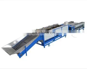 Orang Sorter Machine/ Mandarin Orange Sorting Machine/ Apple Grading Machine photo-5