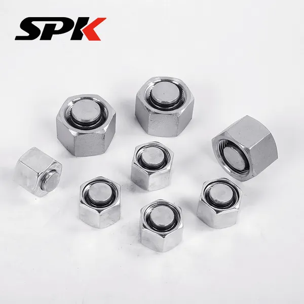 316 /304 Stainless Steel Internal Thread Plug 9C/9D Hydraulic Plug Metric Internal Thread Stainless Steel Oil Plug / Pipe Plug photo-4
