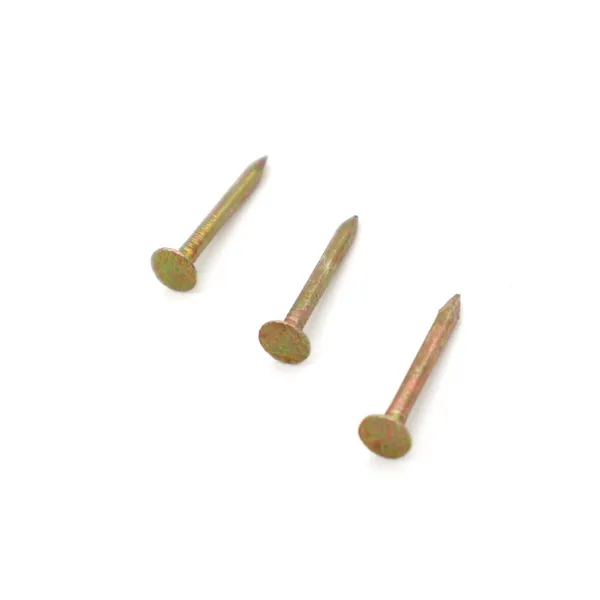 Electro Galvanized Wire Nails - Stable Quality with Mill Test Report
