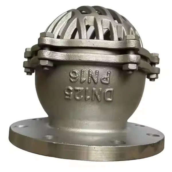 ANSI Bottom Foot Valve 150lb Stainless Steel Cast Steel Cast Iron Ductile Iron GGG40 Lift Strainer Flange Fitting 304 Screen photo-4